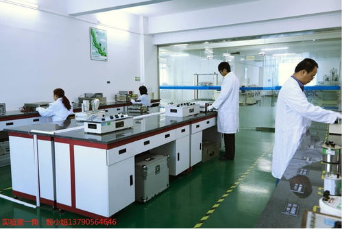 東莞工地設(shè)備計量校準下廠服務(wù)、外校與信息咨詢綜合解析